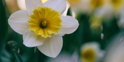 Эксклюзивные букеты от нашей студии флористики!