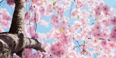 Хотите создать уютную атмосферу в своём доме или офисе?