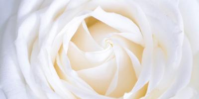 Хотите создать уютную атмосферу в своём доме или офисе?