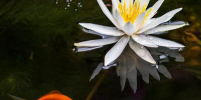 Не знаете, что подарить на день рождения, юбилей или свадьбу?