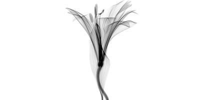 Хотите порадовать близких или украсить свой дом?