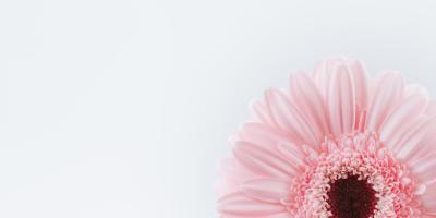 Эксклюзивные цветочные композиции!