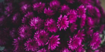 Букет для любого случая: красота, которая радует!