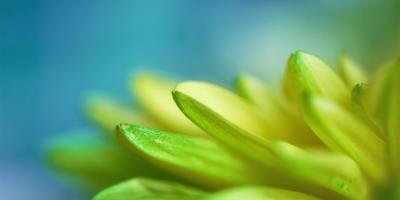 Букет для любого случая!