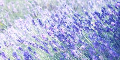 Подарите себе красоту с нашими букетами!