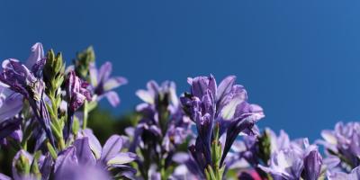 Подарите себе и своим близким радость с нашими букетами!