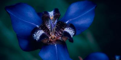 💮 Хотите сделать свой дом или офис более уютным и стильным?