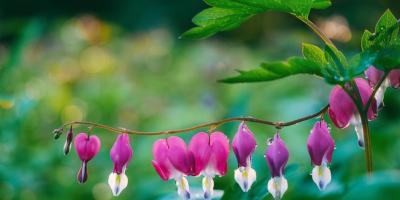 Букеты для любого случая!