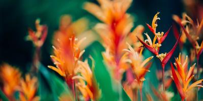 💮 Хотите сделать свой дом или офис более уютным и стильным?