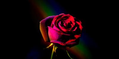 Оформление цветов: создайте атмосферу уюта